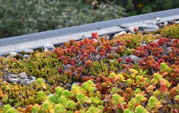 the cost of Combe Florey green roof installation
