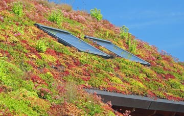Combe Florey living roof systems