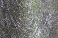 Combe Florey fibreglass roof work