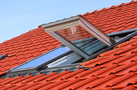 Combe Florey roof window